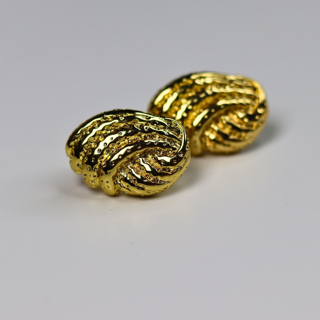 Gold Shell Earrings - Adorn-iq