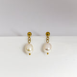 Pair of pearl earrings with gold hooks on a white background